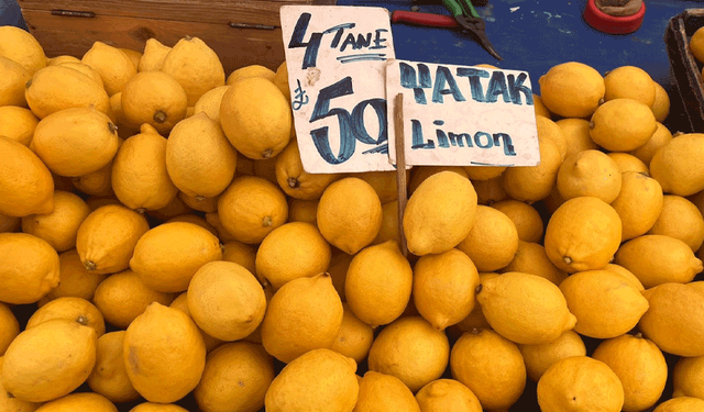 Bozuk paraya alınırdı şimdi lüks oldu! Eskişehir’de tanesi 12,5 TL