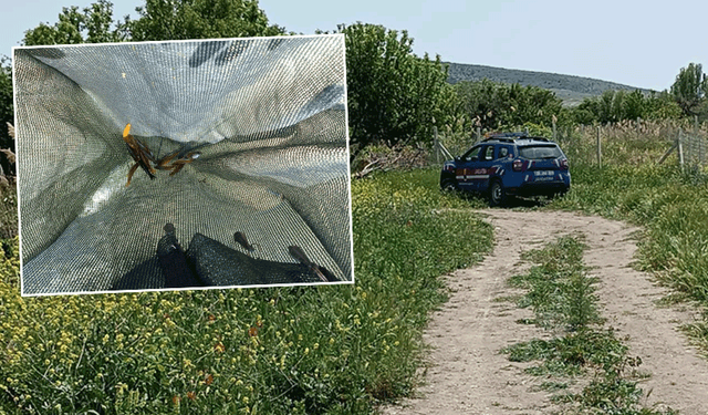 Eskişehir’de tarihi alanda kaçak ava suçüstü