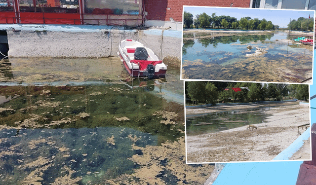 DSİ izinsiz boşaltılan Sakaryabaşı için hukuki süreç başlattı
