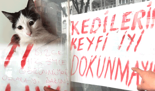 Eskişehir’de boş dükkanın camına yazılan not, kedilerin durumu hakkında tartışma yarattı