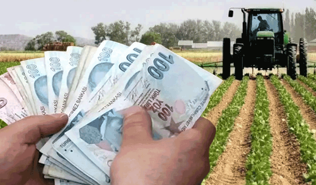 Eskişehir’de çiftçilere 71 milyon liralık hibe desteği