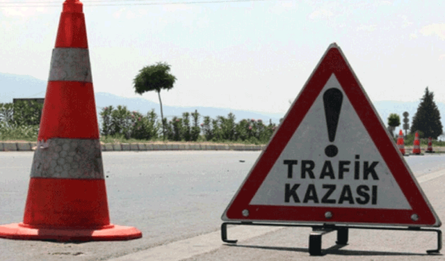 Afyon'da kontrolden çıkan otomobil şarampole devrildi: 2 yaralı