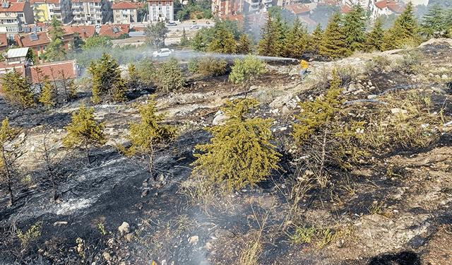Afyon'da ormanlık alanda çıkan ot yangını korkuttu