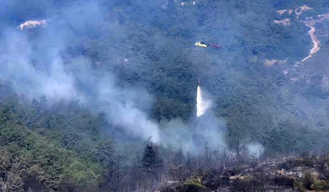 Balıkesir'deki orman yangınına havadan müdahale tekrar başladı