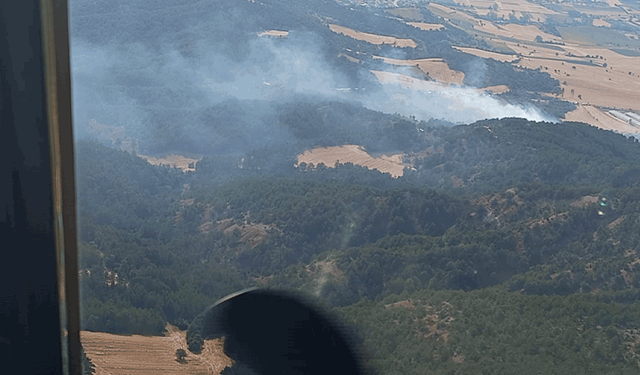 Bolu'da korkutan yangın