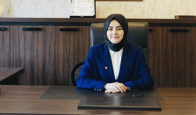 Sakarya’dan Bilecik’e uzanan yangına müdahale: Zarar tespiti başladı