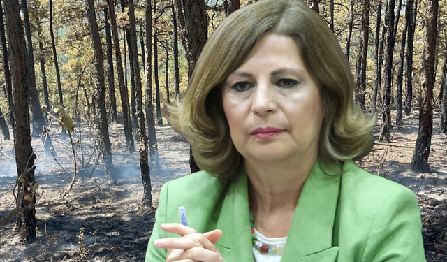 Ünlüce: Çok üzgünüz, şehitlerimiz var!