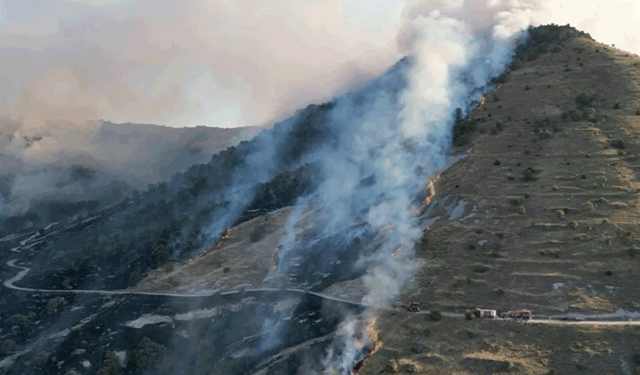 Afyon’da korkutan yangın: Ormanlık alan büyük zarar gördü