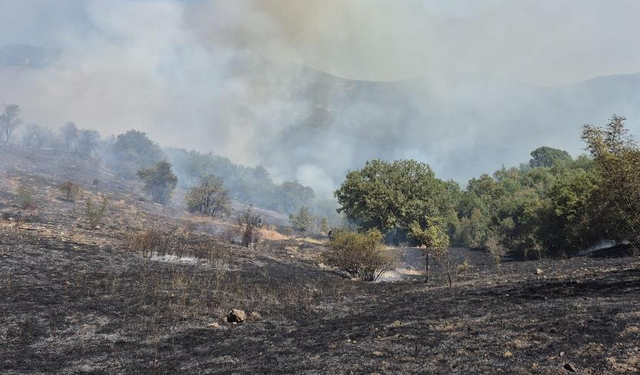 Balıkesir'de Kepsut'ta orman yangını