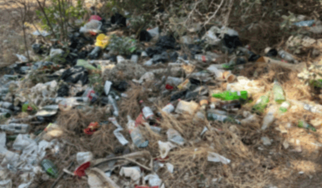 Bilecik’te ormanlara zarar veren alkol atıkları tepki çekti
