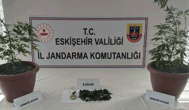 Eskişehir’de jandarmadan operasyon: Balkonunda kenevir yetiştirmiş