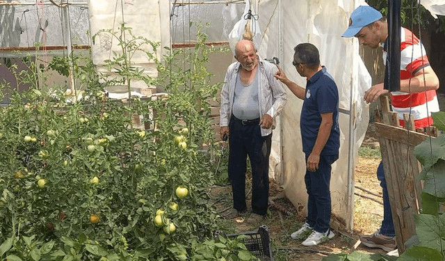 Kütahya’da seralara yakın takip: Hastalık ve zararlı kontrolleri yapıldı