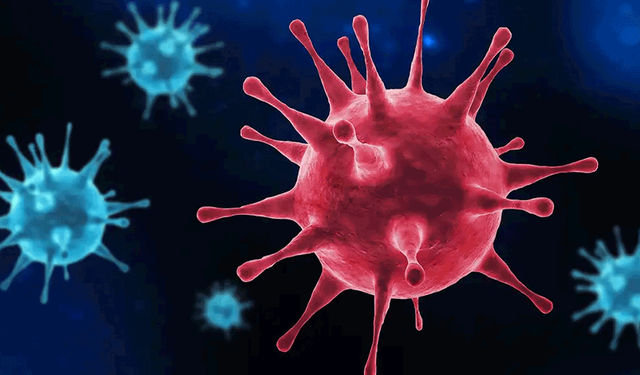 Aileler dikkat! Eskişehir’de COVID-19 uyarısı