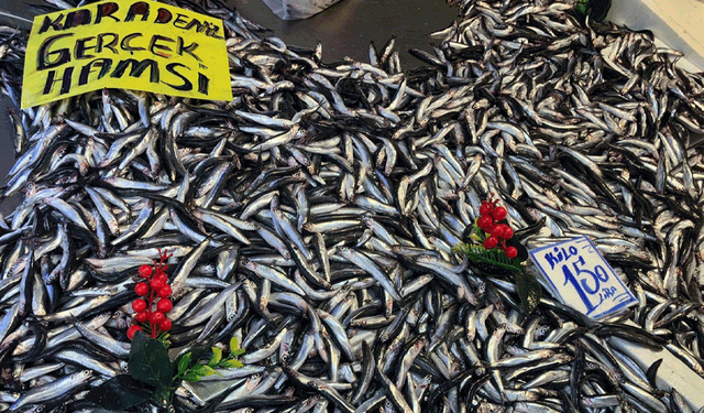 Denizlerde bolluk! Balık fiyatları geçen yıldan daha ucuz