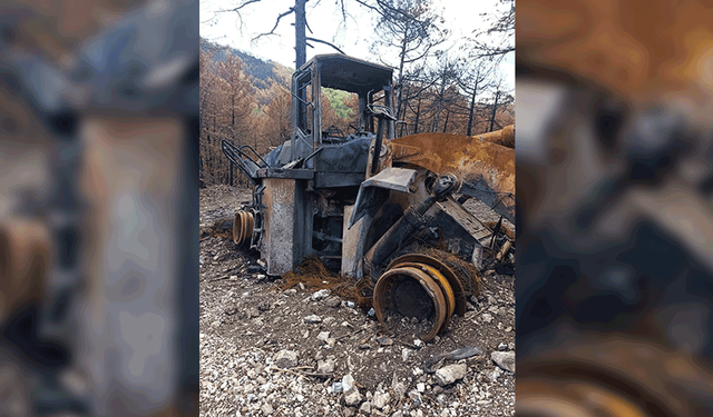 Eskişehir'de 10 şehidin verildiği orman yangınının son izi de kaldırıldı