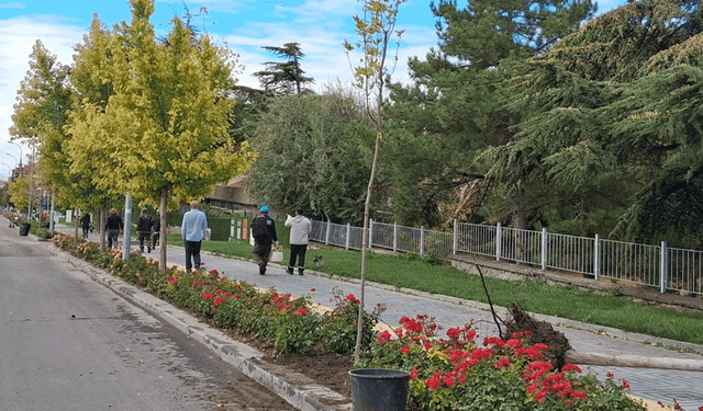 Sivrihisar’da yeşil alanlar canlanıyor