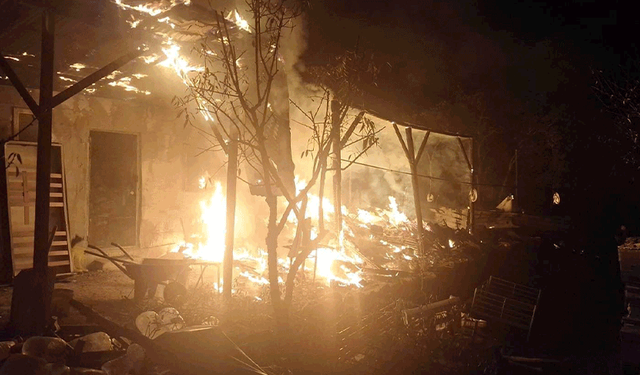 Bilecik’te arı kovanlarının bulunduğu sundurmada yangın paniği