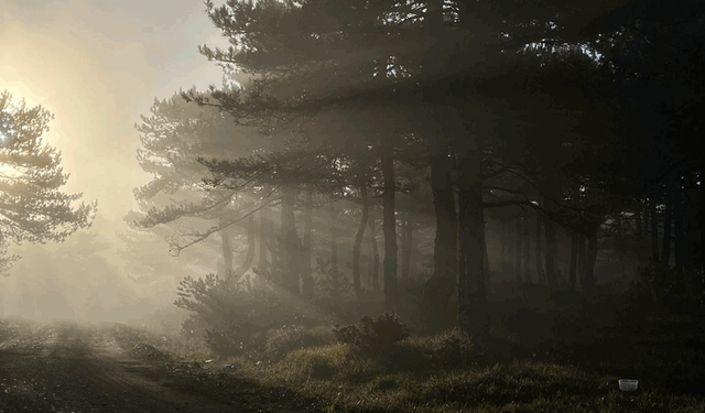 Bozdağ zirvesindeki sis manzarası hayran bıraktı