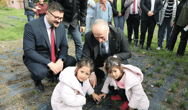 Eskişehir’de safran üretimi birincilik yolunda