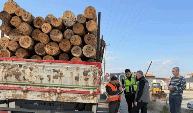 Kütahya'da orman emvali yüklü araçlara denetim