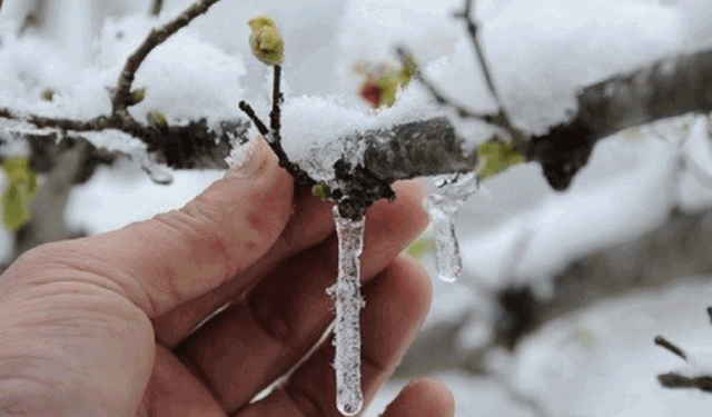 Meteoroloji’den Eskişehir’e zirai don ve kırağı uyarısı
