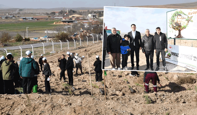 Şehit Eyyüp Dereli anısına fidanlar toprakla buluştu