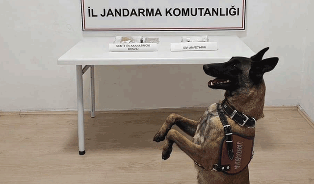 Bilecik’te şüpheli araçta zehir bulundu