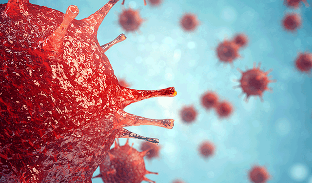 Eskişehir İl Sağlık Müdürlüğü’nden “Uluslararası Salgına Hazırlık Günü” mesajı