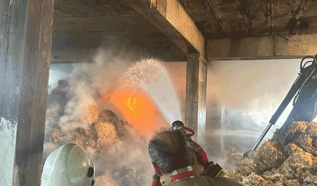 Hatay'da samanlık yangını 10 saat sonra kontrol altına alındı