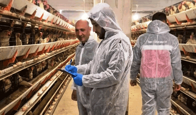 Kütahya'da yeni tavukçuluk işletmesine ilk resmi denetim