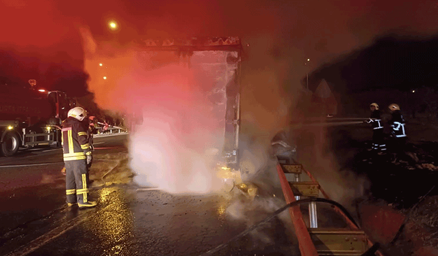 Şanlıurfa'da beyaz eşya yüklü tır alev alev yandı