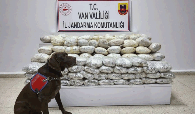 Van'da 60 kg yasaklı madde ele geçirildi