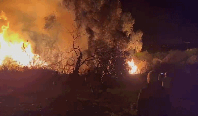 Antalya D-400 kara yolunda yangın ucuz atlatıldı