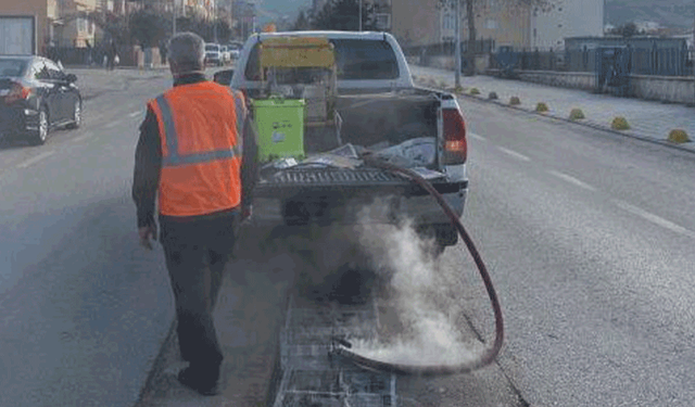 Bilecik’te haşereyle mücadele çalışmaları tamamlandı