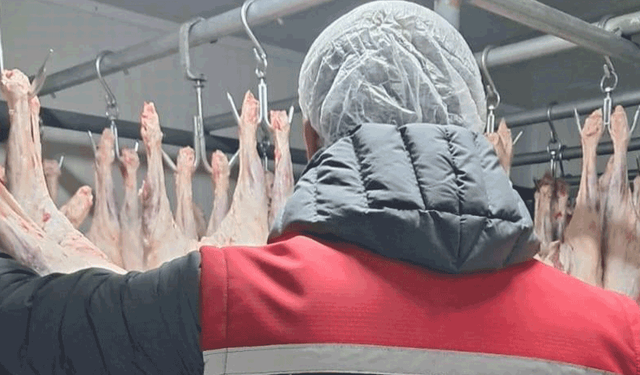 Erzurum'da gıda satışı yapan işletmeler denetlendi