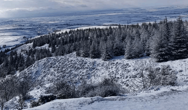 Eskişehir’in yüksek kesimlerinde kartpostallık manzaralar