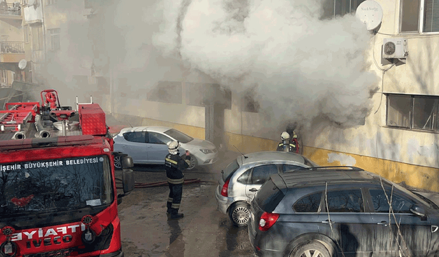 İyi niyet faciaya dönüşüyordu: Kediler için açılan ısıtıcı yangın çıkardı