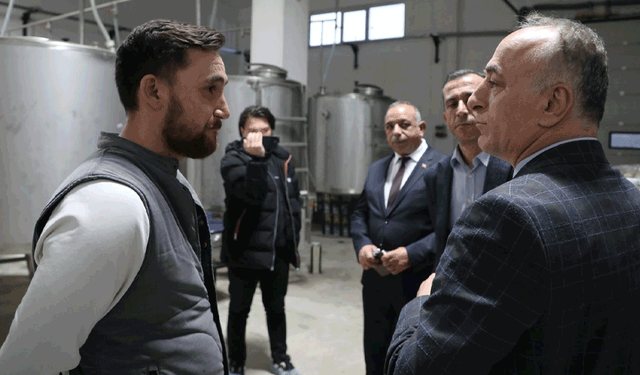 Sarıcakaya’da zeytin ve zeytinyağı üretimi hızla artıyor