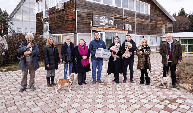 Tepebaşı’nda sokak hayvanlarına şefkat eli: Binlerce can hayata tutundu