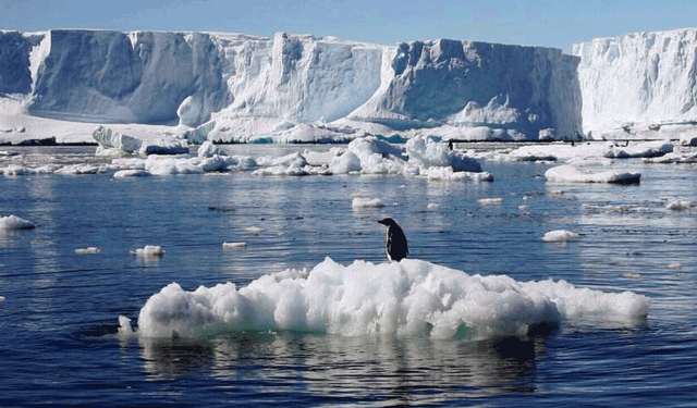 Antarktika’da yeni analiz yöntemleri geliştirilecek