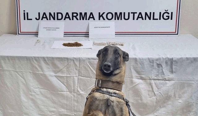 Bilecik’te jandarma operasyonu: 1 gözaltı