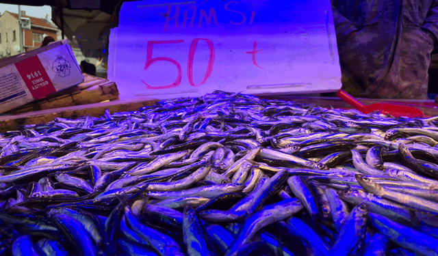 Eskişehir’de hamsi 50 TL’ye düştü, metrelerce kuyruk oluştu