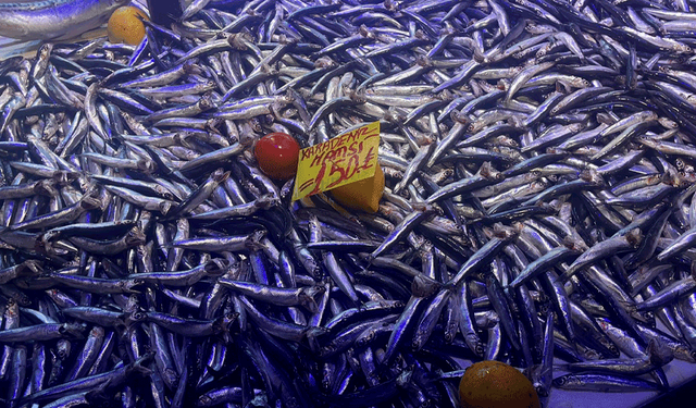 Hamsi bolluğu Eskişehir’de fiyatlara yansıdı, vatandaşın yüzü güldü