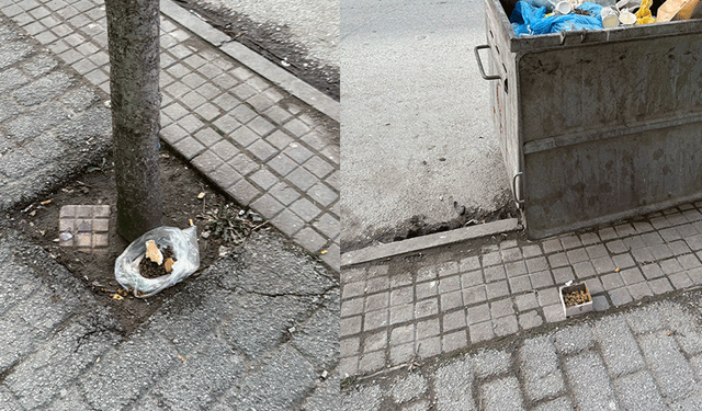 Sokak hayvanları için bırakılan mamalar takdir topladı