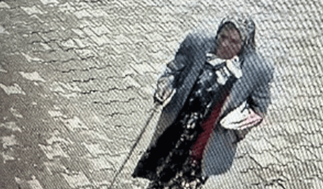 Afyon’da 84 yaşındaki kadın su kanalında ölü bulundu