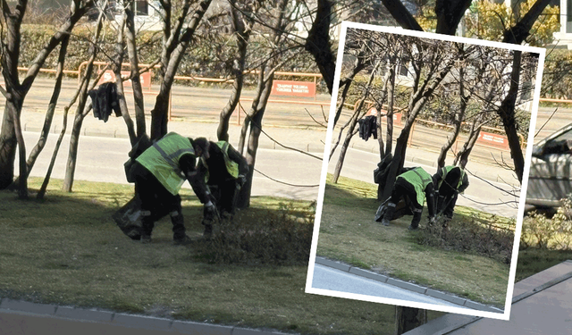 Belediye ekiplerinden Cumhuriyet Bulvarı’nda detaylı temizlik