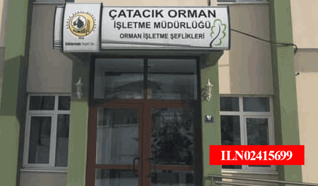 Çatacık Orman İşletme Müdürlüğü Verim Yüzdesi Tespiti ve Danışmanlık Hizmeti alacaktır