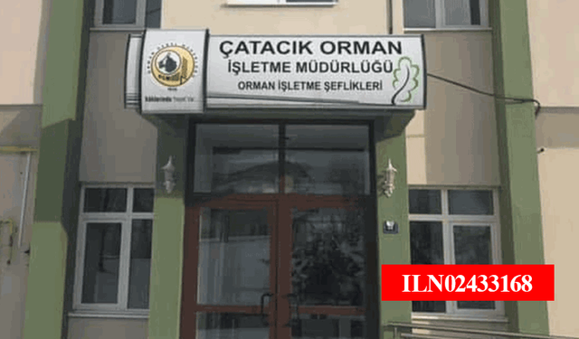 Çatacık Orman İşletme Müdürlüğü Ormancılık Çalışmalarının Takibi ve Kontrolü hizmeti alacaktır