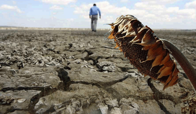 Eskişehir’de kuraklık alarmı: Tarımda tehlike çanları çalıyor