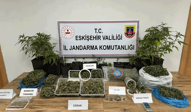 Eskişehir'de ormanda uyuşturucu ticaretine jandarma engeli: 1 tutuklama